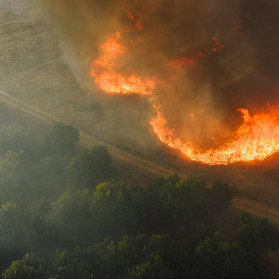 An aerial view of an advancing wildfire front burning through grassland towards a treeline.